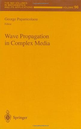 Wave Propagation in Complex Media pdf epub mobi 电子书 下载