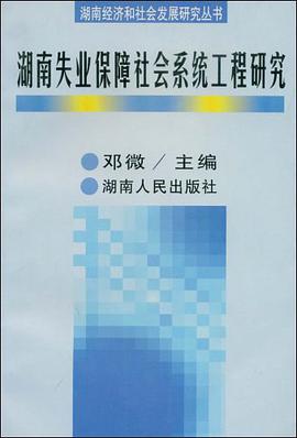 湖南失业保障社会系统工程研究 pdf epub mobi 电子书 下载