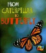 From Caterpillar to Butterfly pdf epub mobi 電子書 下載
