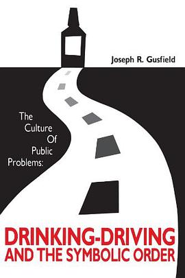 The Culture of Public Problems pdf epub mobi 电子书 下载