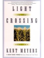 Light in the Crossing pdf epub mobi 电子书 下载