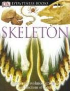 Skeleton