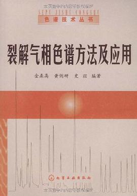 裂解气相色谱方法及应用 pdf epub mobi 电子书 下载