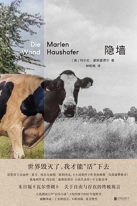隐墙 pdf epub mobi 电子书 下载
