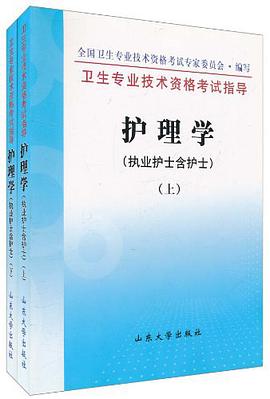 护理学.执业护士含护士（上下） pdf epub mobi 电子书 下载