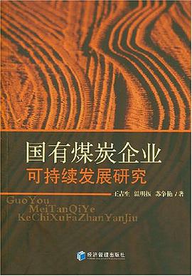 国有煤炭企业可持续发展研究