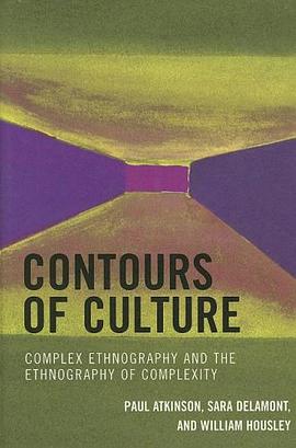 Contours of Culture pdf epub mobi 电子书 下载