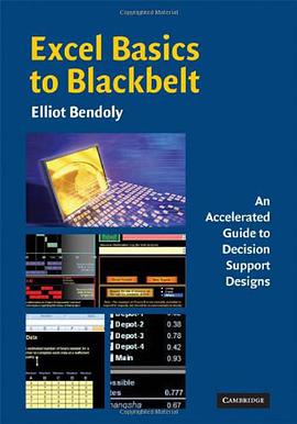 Excel Basics to Blackbelt pdf epub mobi 电子书 下载