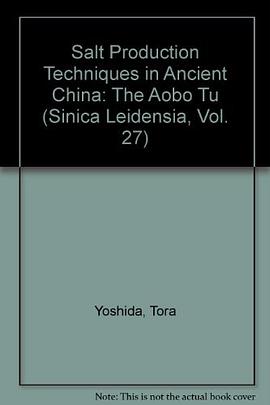 Salt Production Techniques in Ancient China pdf epub mobi 電子書 下載