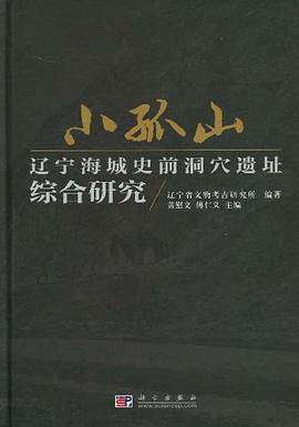 小孤山 pdf epub mobi 电子书 下载
