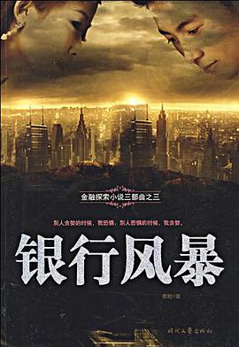 银行风暴 pdf epub mobi 电子书 下载