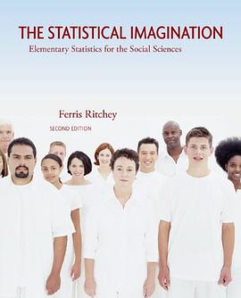 The Statistical Imagination pdf epub mobi 電子書 下載