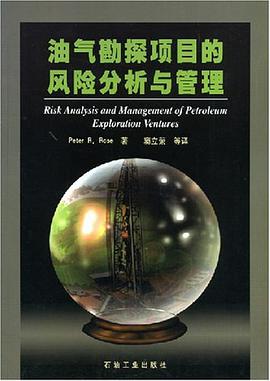 油气勘探项目的风险分析与管理 pdf epub mobi 电子书 下载