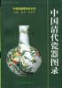 中國清代陶瓷圖錄 pdf epub mobi 電子書 下載