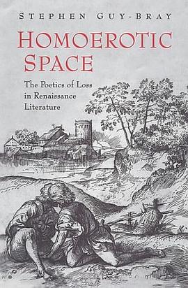 Homoerotic Space pdf epub mobi 电子书 下载