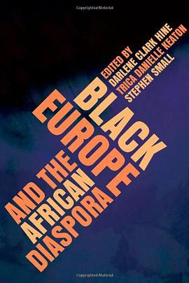 Black Europe and the African Diaspora pdf epub mobi 电子书 下载