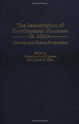 The Feminization of Development Processes in Africa pdf epub mobi 電子書 下載