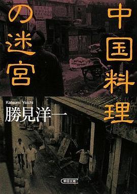 中国料理の迷宮 (朝日文庫) pdf epub mobi 电子书 下载