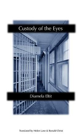 Custody of the Eyes pdf epub mobi 电子书 下载