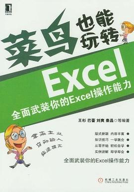 菜鸟也能玩转Excel pdf epub mobi 电子书 下载