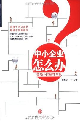 中小企业怎么办 pdf epub mobi 电子书 下载