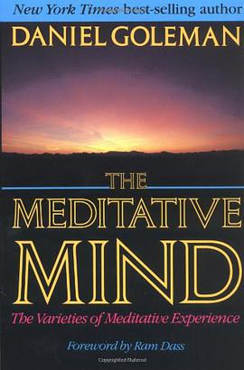 Meditative Mind pdf epub mobi 電子書 下載
