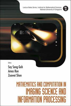 Mathematics and Computation in Imaging Science and Information Processing (Lecture Notes Series, Ins pdf epub mobi 电子书 下载