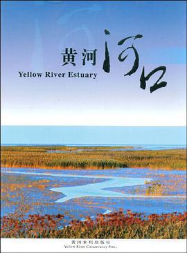 黄河河口 pdf epub mobi 电子书 下载