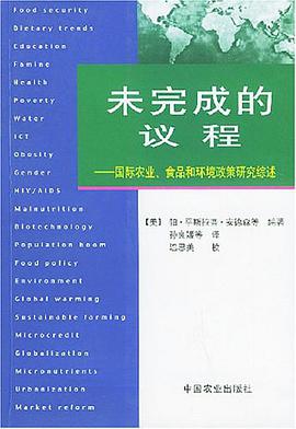 未完成的议程 pdf epub mobi 电子书 下载