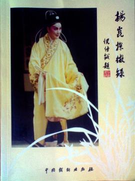 扬昆探微录 pdf epub mobi 电子书 下载