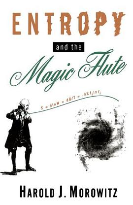 Entropy and the Magic Flute pdf epub mobi 电子书 下载