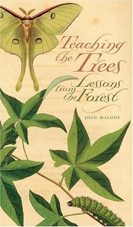 Teaching the Trees pdf epub mobi 电子书 下载