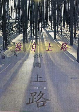 独自上路 pdf epub mobi 电子书 下载