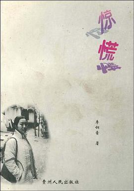 惊慌 pdf epub mobi 电子书 下载