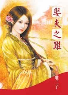 娶夫之難 pdf epub mobi 电子书 下载