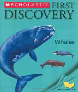 First Discovery Whales