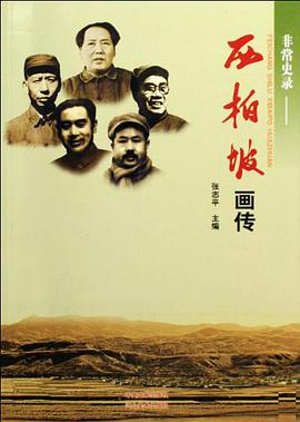 非常史录 pdf epub mobi 电子书 下载