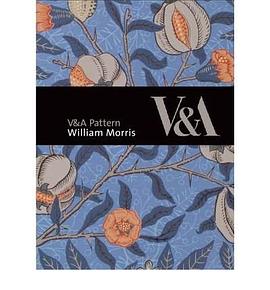 V&A Pattern pdf epub mobi 電子書 下載