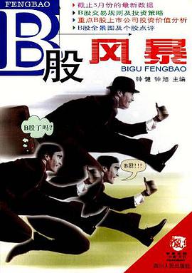B股风暴 pdf epub mobi 电子书 下载