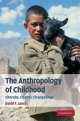 The Anthropology of Childhood pdf epub mobi 电子书 下载