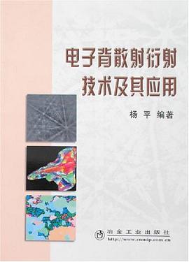 电子背散射衍射技术及其应用 pdf epub mobi 电子书 下载