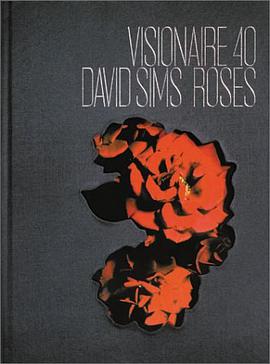 Visionaire 40 pdf epub mobi 电子书 下载