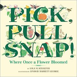 Pick, Pull, Snap pdf epub mobi 电子书 下载