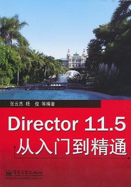 Director 11.5从入门到精通 pdf epub mobi 电子书 下载
