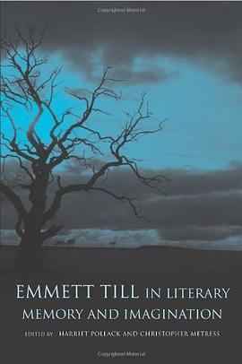 Emmett Till in Literary Memory and Imagination pdf epub mobi 下载