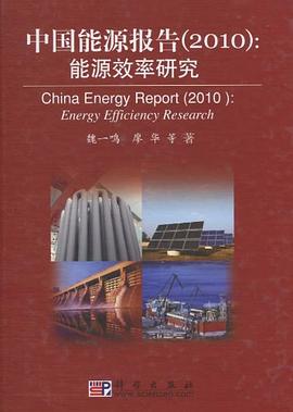 中國能源報告 pdf epub mobi 電子書 下載