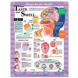 Blueprint for Health Your Taste and Smell Chart