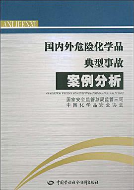 国内外危险化学品典型事故案例分析 pdf epub mobi 电子书 下载