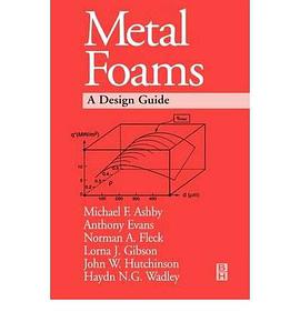 Metal Foams pdf epub mobi 电子书 下载