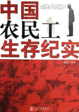 中国农民工生存纪实 pdf epub mobi 电子书 下载